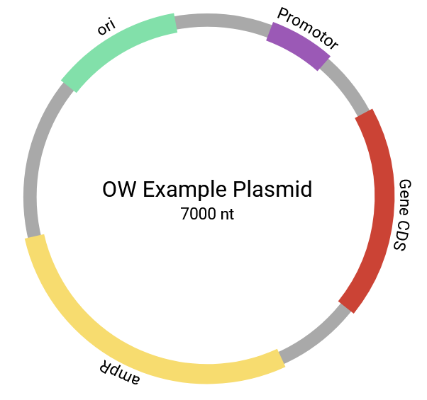 Example OLIGOWIZARD Plasmid Map