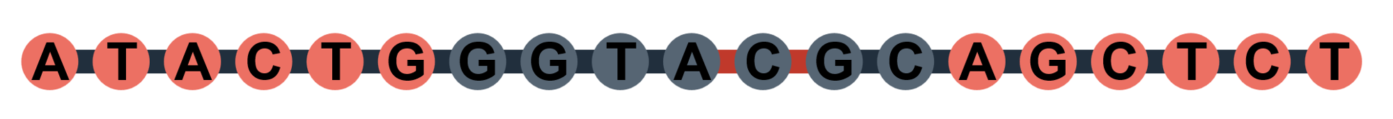 Oligo Draw Example Vector Graphic
